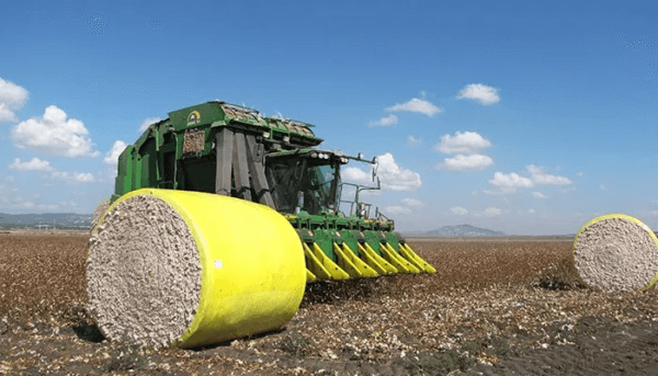 Cotton wrap film - Image 5